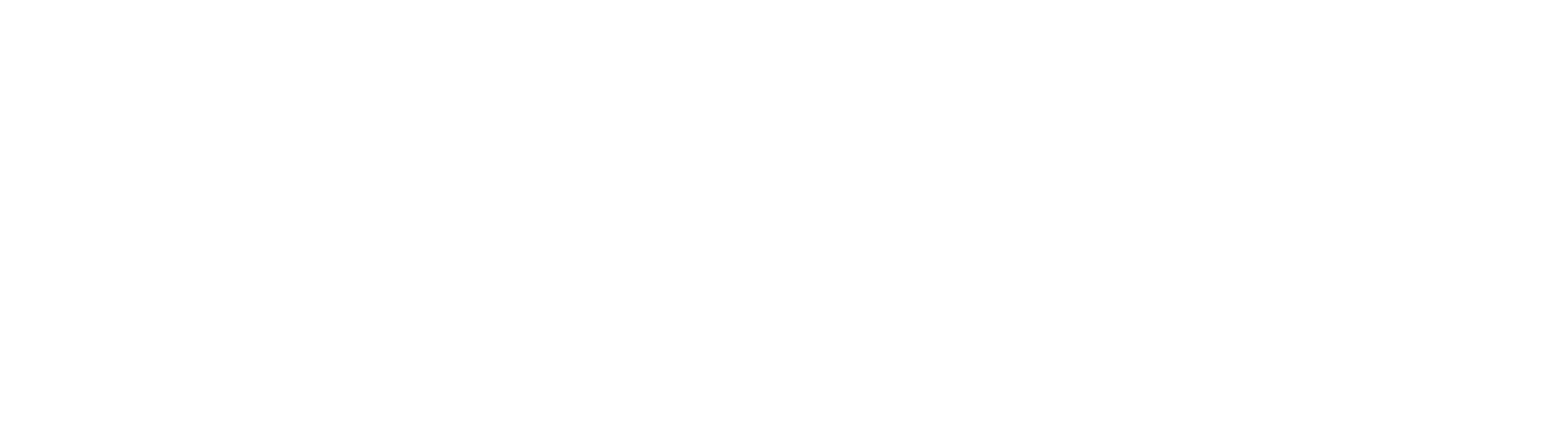 Horizon Finance Partners